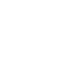 Aerospace Icon