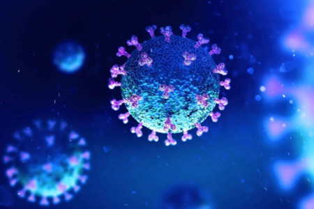 Covid virus