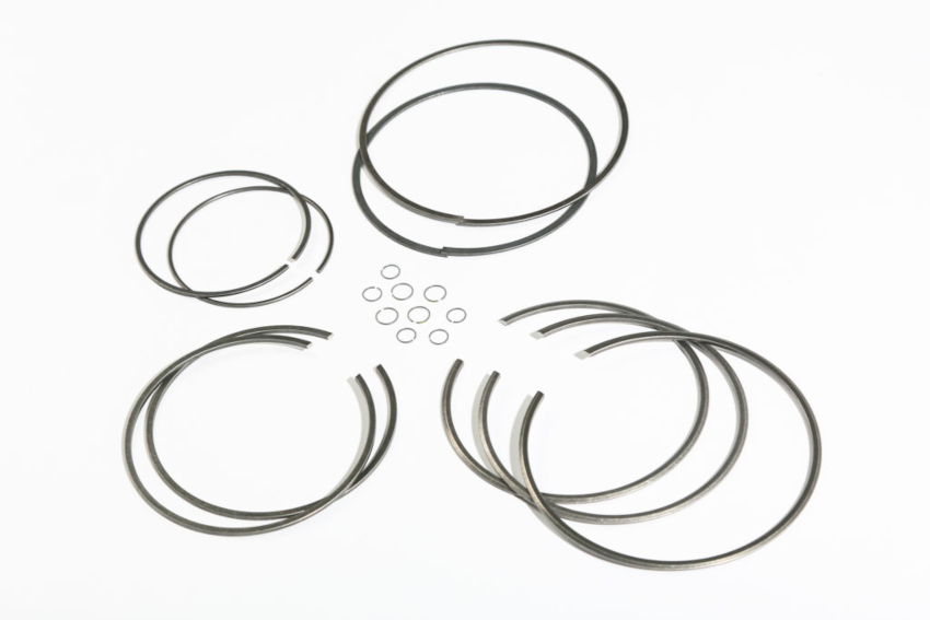 Various sizes of sealing rings