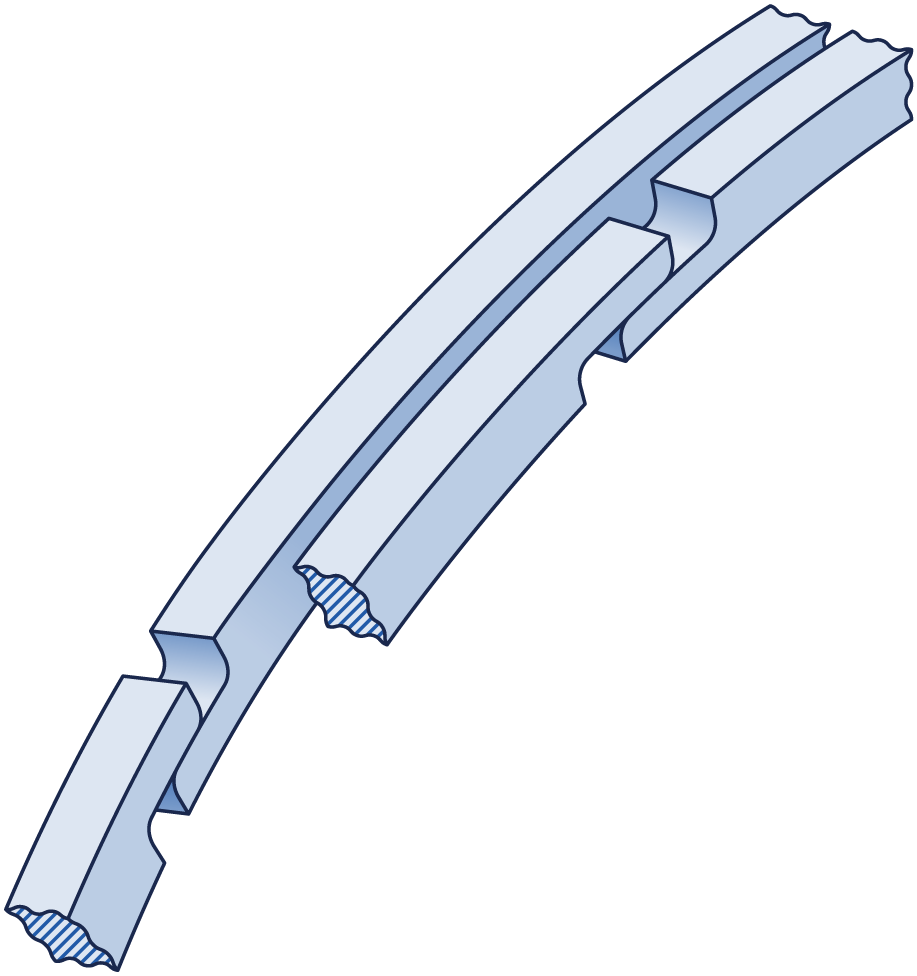ring gap side step graphic